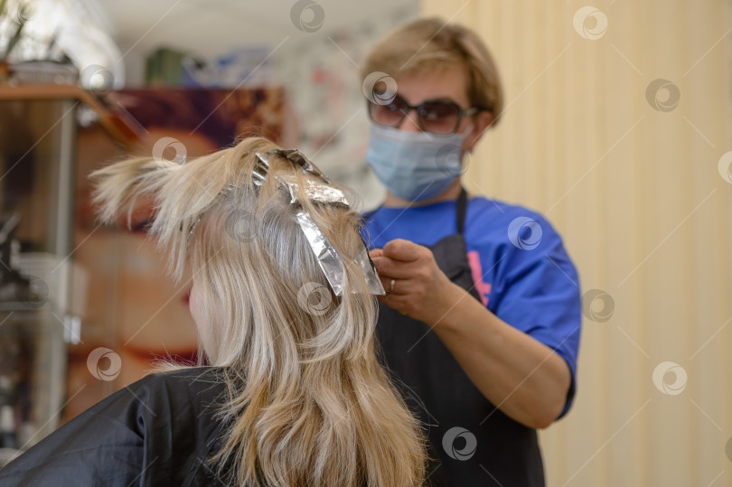 Скачать Обесцвечивание и окрашивание волос в салоне красоты фотосток Ozero