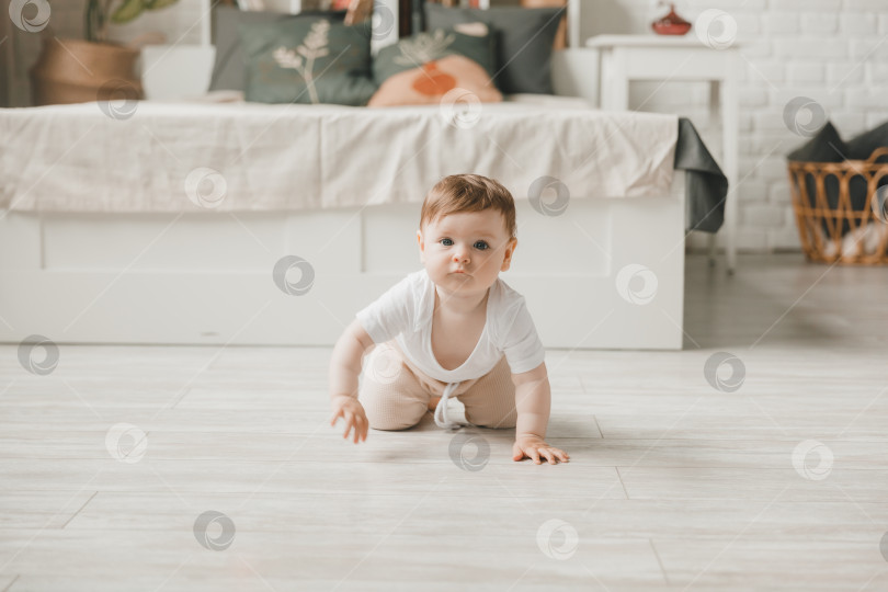 Скачать ползающий малыш 6 месяцев в детской комнате дома. фотосток Ozero