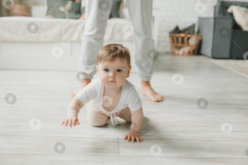 Скачать ползающий малыш 6 месяцев в детской комнате дома. фотосток Ozero