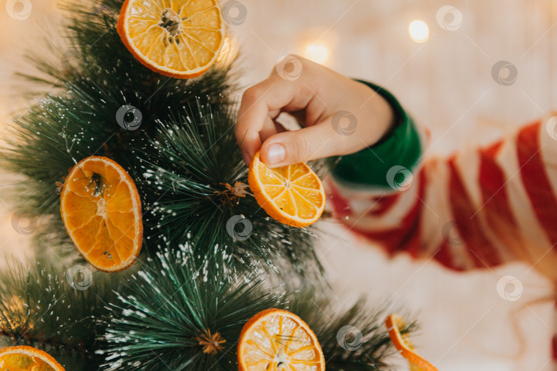 Скачать Маленькая девочка в шапочке Санта-Клауса украшает елку половинками сушеного апельсина. Милый малыш готовится отпраздновать Рождество. фотосток Ozero