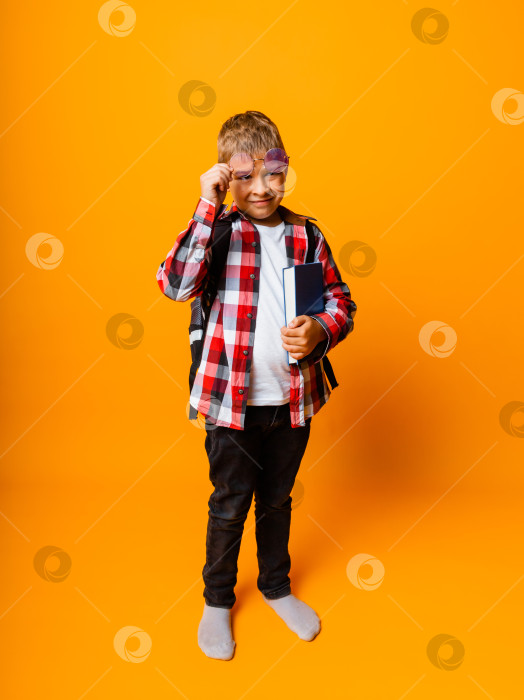 Скачать Портрет маленького мальчика в очках. Школьник держит очки и смотрит в камеру. фотосток Ozero