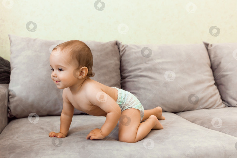Скачать малыш в подгузнике ползает по дивану. малышу 11 месяцев. фотосток Ozero