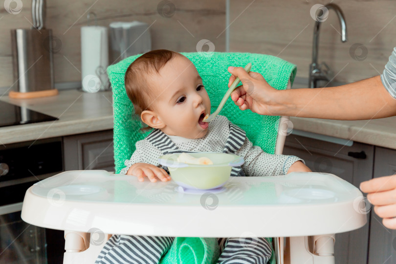 Скачать мама кормит малыша с ложечки. симпатичный малыш 12 месяцев от роду сидит в стульчике для кормления и ест банан. фотосток Ozero