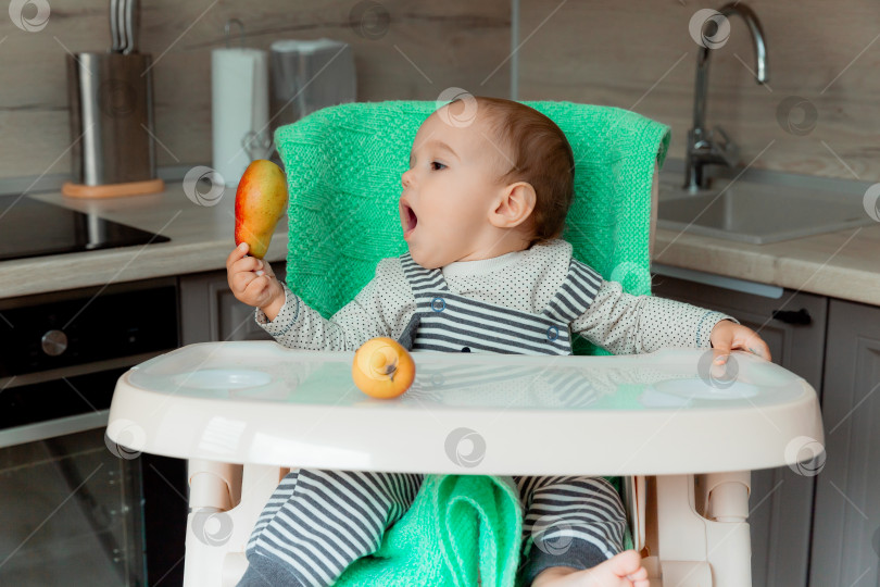 Скачать малыш сидит в детском стульчике для кормления и ест фрукты. фотосток Ozero