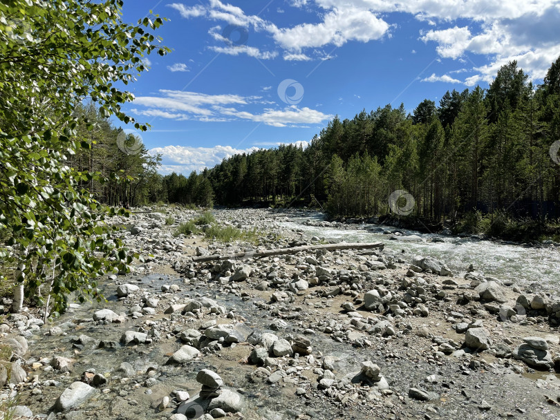 Скачать Горная река, протекающая в долине в лесу, Бурятия, Россия фотосток Ozero