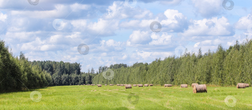 Скачать Рулоны сена на зеленом поле. фотосток Ozero