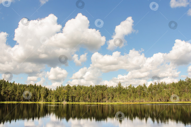 Скачать Кучевые облака над озером. фотосток Ozero