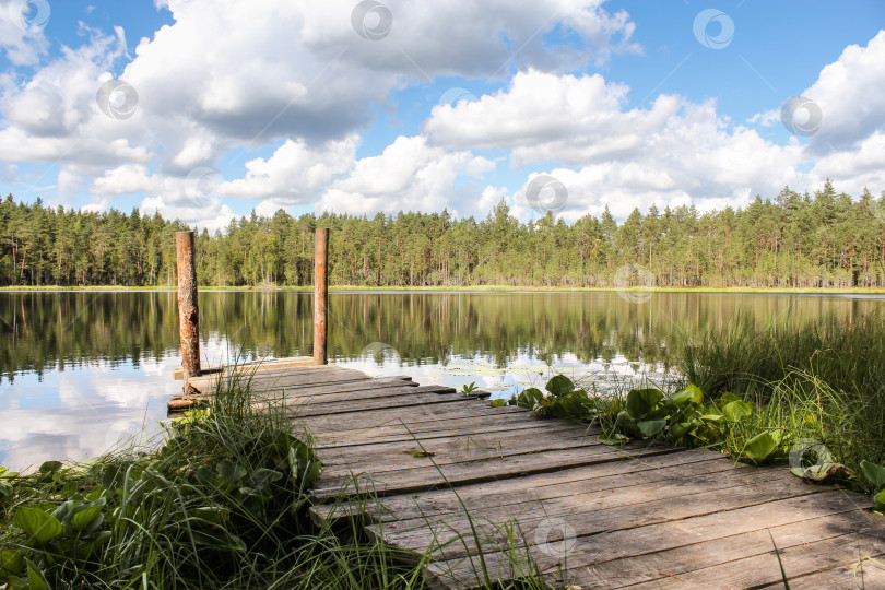 Скачать Выход к озеру. фотосток Ozero