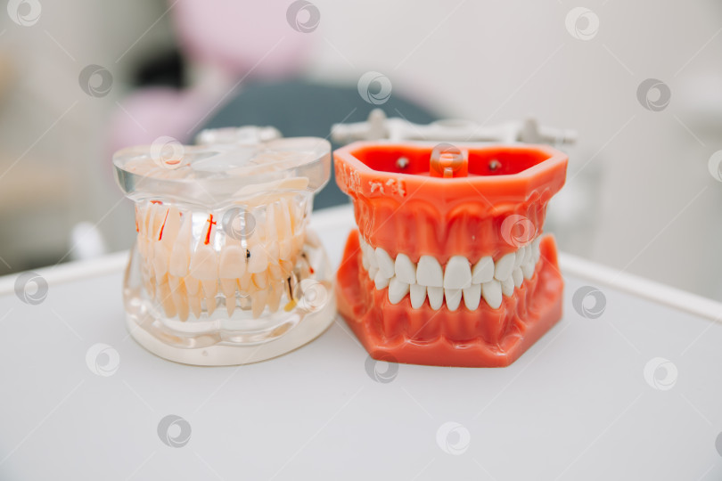 Скачать стоматологические инструменты и концепция обследования стоматолога-гигиениста с использованием модельных зубных протезов фотосток Ozero