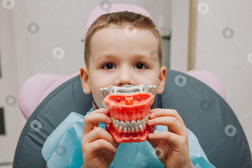 Скачать Счастливый маленький мальчик изучает анатомию человеческих зубов, держа в руках модель зубов в кабинете стоматолога. зубной протез фотосток Ozero