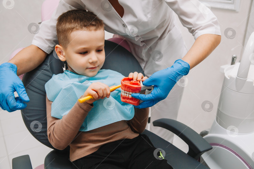 Скачать Стоматологическая помощь. Стоматолог с маленьким пациентом учатся чистить зубы на зубном протезе. фотосток Ozero