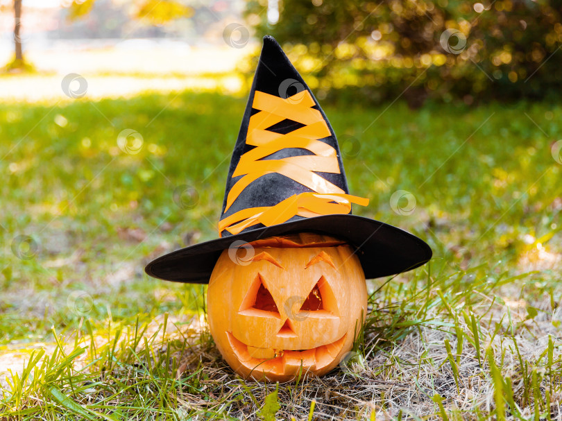 Скачать Маленькая тыква в ведьминой шляпе на траве. Милая забавная концепция для Хэллоуина. фотосток Ozero
