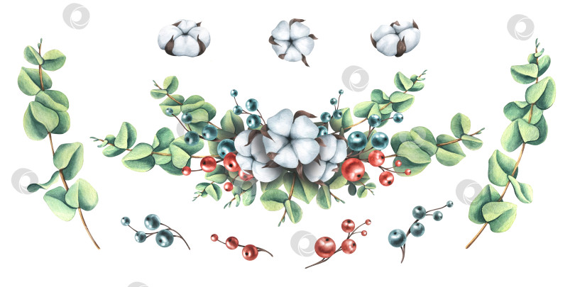 Скачать Рождественская композиция из веток эвкалипта с хлопком и ягодами. Акварельная иллюстрация, нарисованная от руки. Набор изолированных элементов на белом фоне. фотосток Ozero