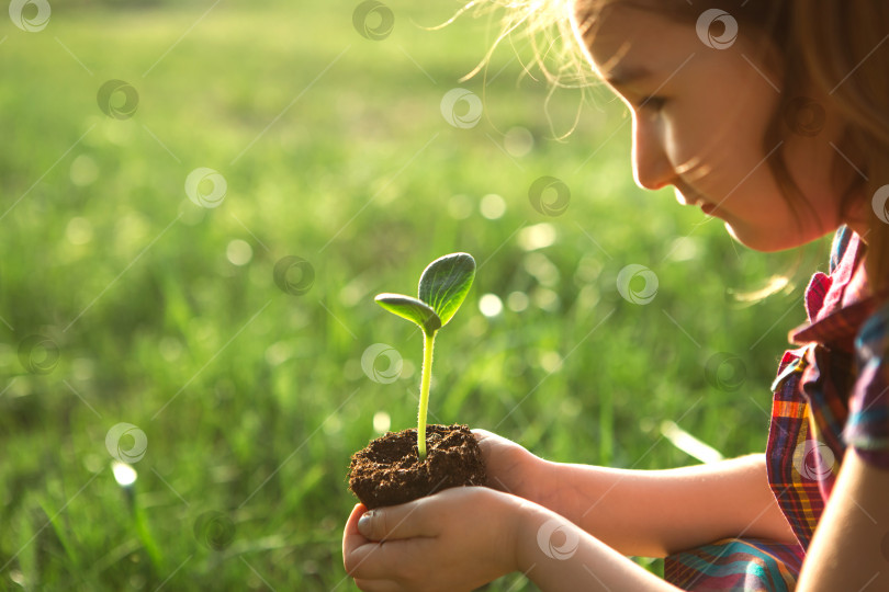 Скачать Молодой зеленый росток в руках ребенка в лучах солнца на фоне зеленой травы. Натуральные саженцы, экологически чистые, новая жизнь, молодость. Концепция развития, мира, заботы. Пространство для копирования фотосток Ozero
