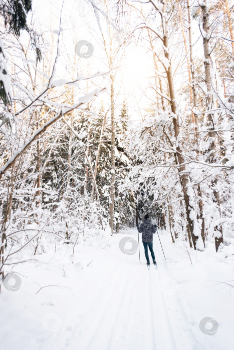 Скачать Лыжник в шапке с помпоном, с лыжными палками в руках, спиной на фоне заснеженного леса. Катание на беговых лыжах в зимнем лесу, спорт на открытом воздухе, здоровый образ жизни. фотосток Ozero