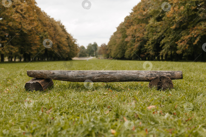 Скачать скамейка в парке на траве. отдохните в парке. осенний парк. фотосток Ozero