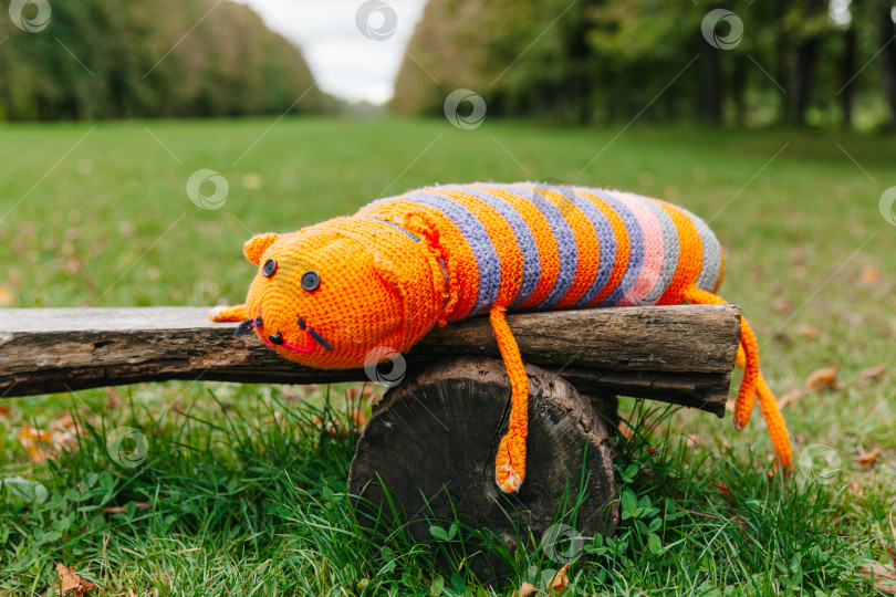 Скачать оранжевая вязаная игрушка лежит на скамейке в парке. фотосток Ozero