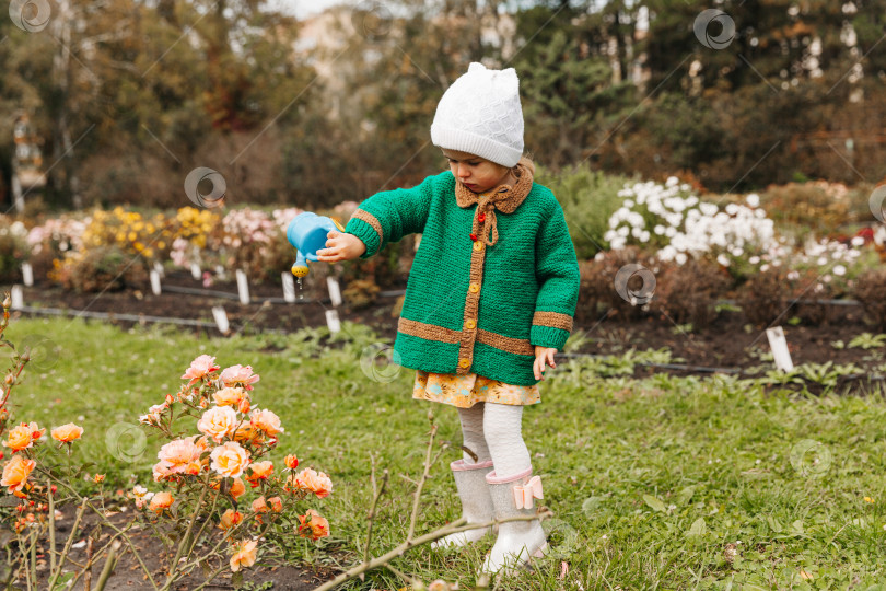 Скачать маленькая девочка поливает цветы из лейки в саду. фотосток Ozero