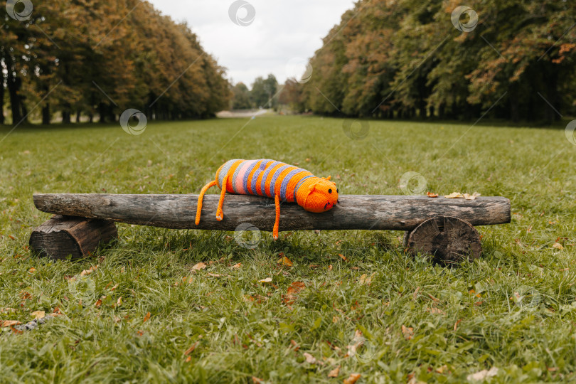 Скачать оранжевая вязаная игрушка лежит на скамейке в парке. фотосток Ozero