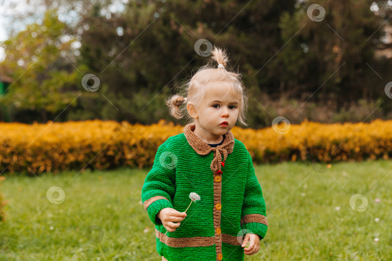 Скачать маленькая девочка держит в руках одуванчик. фотосток Ozero