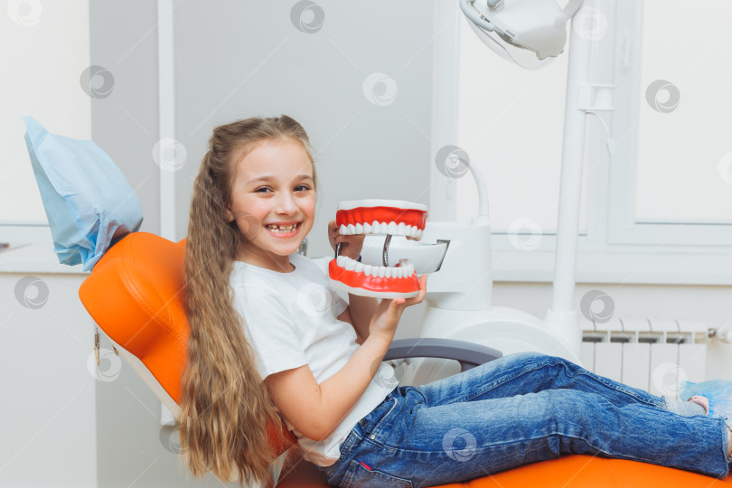 Скачать Маленькая девочка сидит на стоматологическом кресле, держа в руках модель челюстей в стоматологической клинике. фотосток Ozero