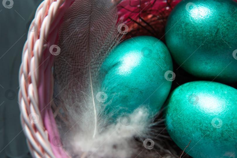 Скачать Разноцветно раскрашенные мраморные блестящие пасхальные яйца в корзинке с нежными перьями крупным планом. Гнездышко из соломы - пасхальное украшение на стол фотосток Ozero