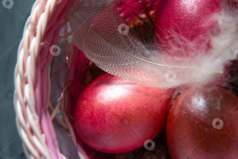 Скачать Разноцветно раскрашенные мраморные блестящие пасхальные яйца в корзинке с нежными перьями крупным планом. Гнездышко из соломы - пасхальное украшение на стол фотосток Ozero