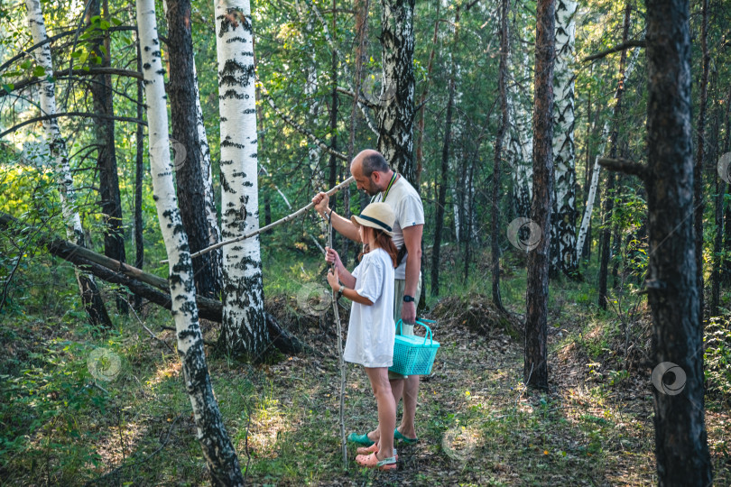 Скачать Папа с дочкой и собакой в лесу ищут грибы фотосток Ozero