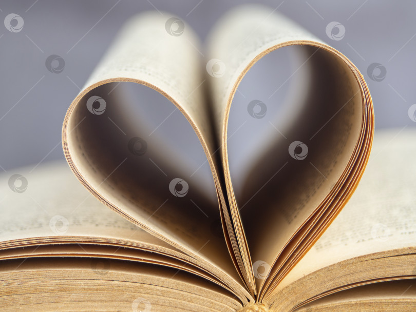 Скачать Макросъемка книжных страниц в форме сердца. Сердце от фотосток Ozero