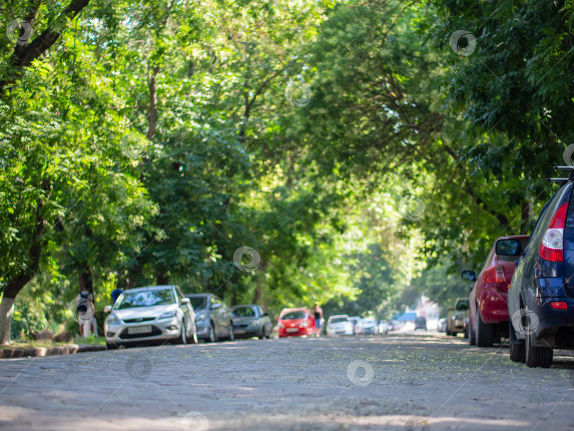 Скачать Городская аллея, вымощенная булыжником, и припаркованные автомобили под фотосток Ozero