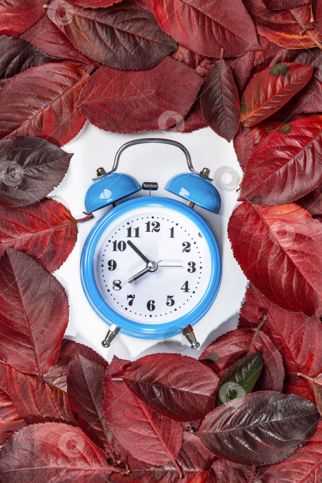 Скачать Рамка из осенних листьев с будильником на белом фоне. фотосток Ozero
