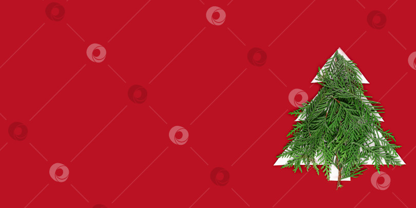 Рождество (рождественская елка / основная)