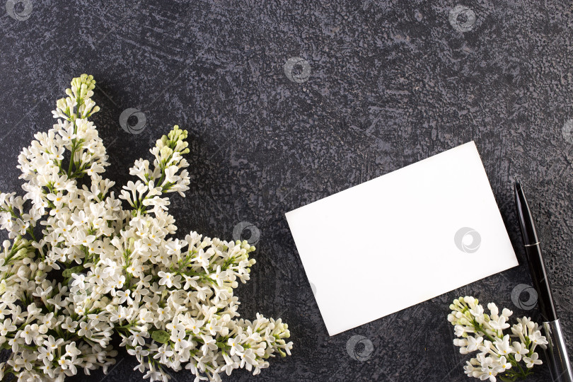 Скачать Красивый сиреневый цветок на сером бетонном фоне фотосток Ozero
