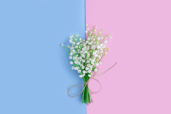 [object Object] undefined