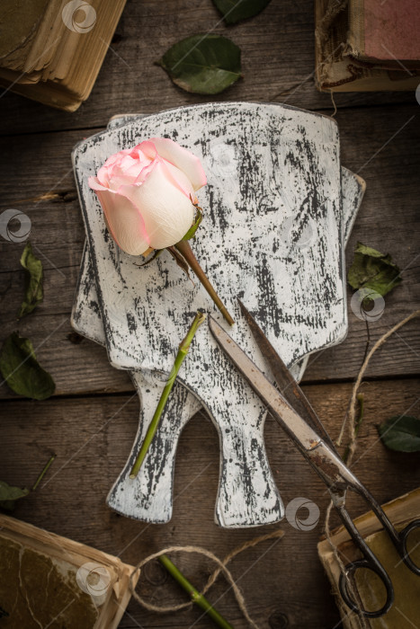 Скачать Увядшая розовая роза на темном деревенском фоне фотосток Ozero