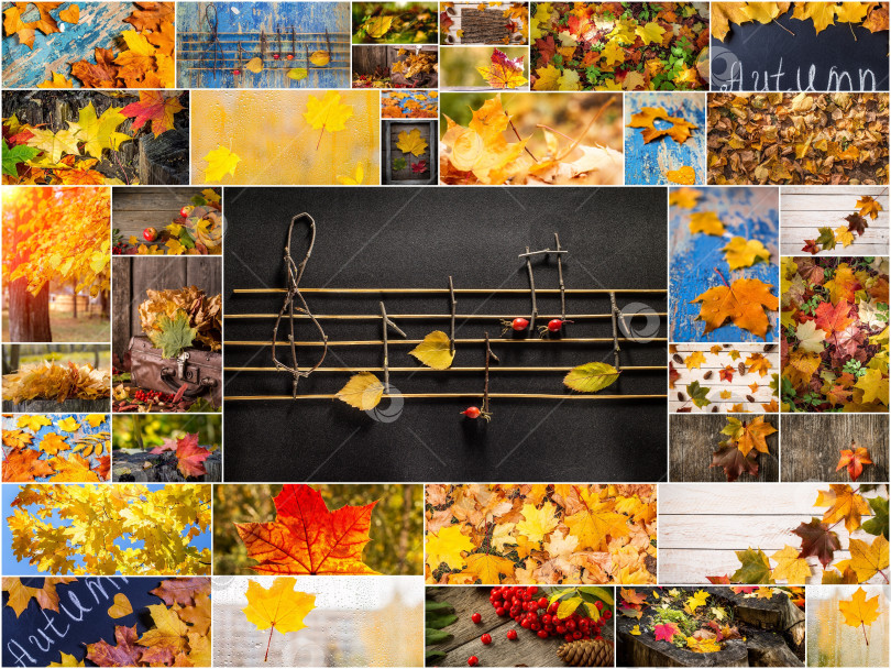 Скачать Красочный осенний коллаж. Осенняя творческая подборка фотографий. фотосток Ozero