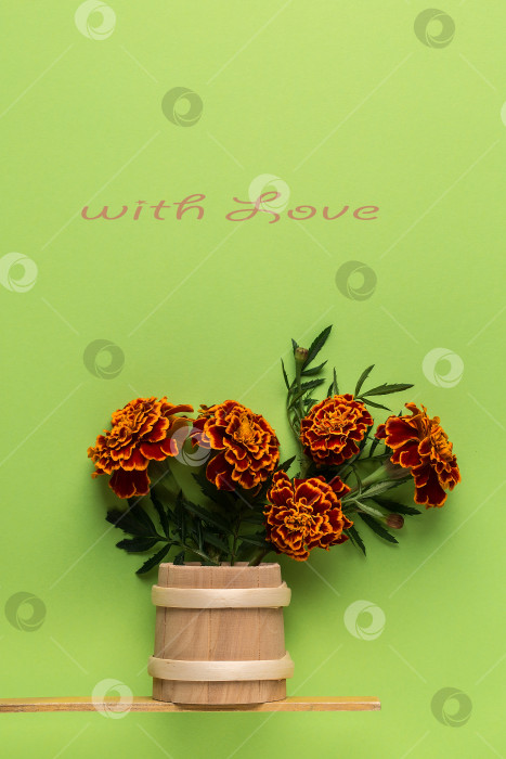 Скачать Букет цветов календулы в деревянной вазе на зеленом фоне. фотосток Ozero