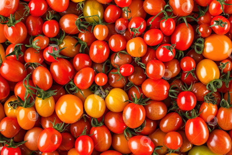 Скачать Свежие органические помидоры черри на заднем плане, крупным планом фотосток Ozero