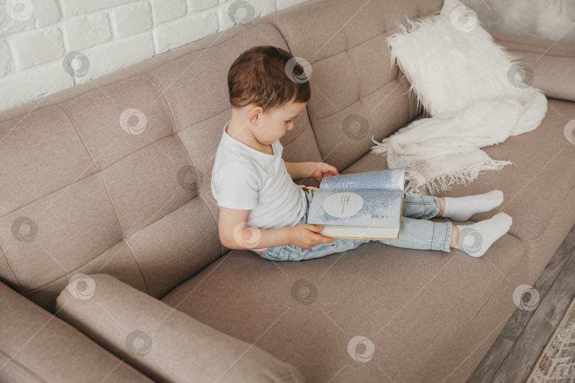 Скачать 5-летний мальчик читает книгу, сидя дома на диване. фотосток Ozero