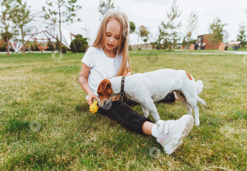 Скачать маленькая девочка целует и обнимает свою собаку Джек-рассел-терьера в парке. Любовь между хозяином и собакой. ребенок держит на руках собаку. фотосток Ozero