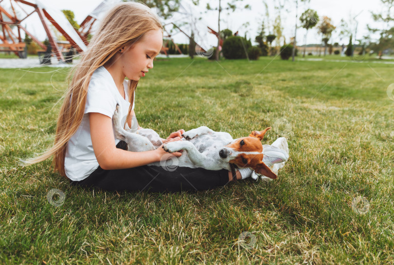 Скачать маленькая девочка чешет живот своей собаке Джек Рассел терьер. Счастливая собака лежит на зеленой траве в парке. домашнее животное фотосток Ozero