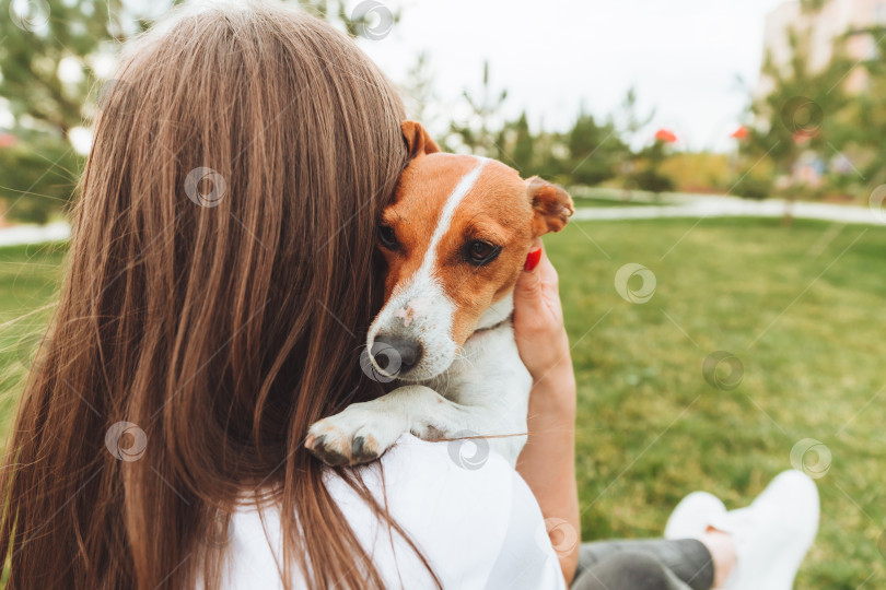 Скачать Женщина держит на руках и обнимает свою собаку Джек-рассел-терьера в парке. Верные лучшие друзья с детства. женщина кормит свою собаку с ладони. корм для животных фотосток Ozero