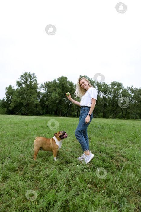 Скачать молодая женщина играет с английским бульдогом в парке фотосток Ozero