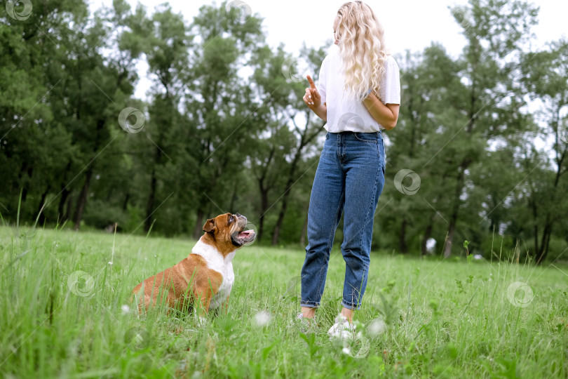 Скачать young woman playing with English Bulldog at park фотосток Ozero