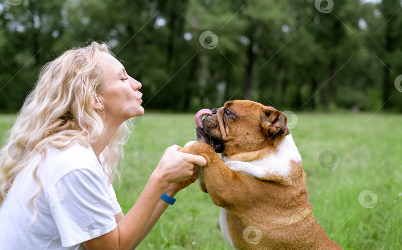 Скачать young woman playing with English Bulldog at park фотосток Ozero
