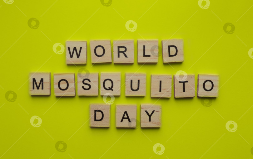 Скачать 20 августа, Всемирный день борьбы с комарами, минималистичный баннер с надписью insc фотосток Ozero