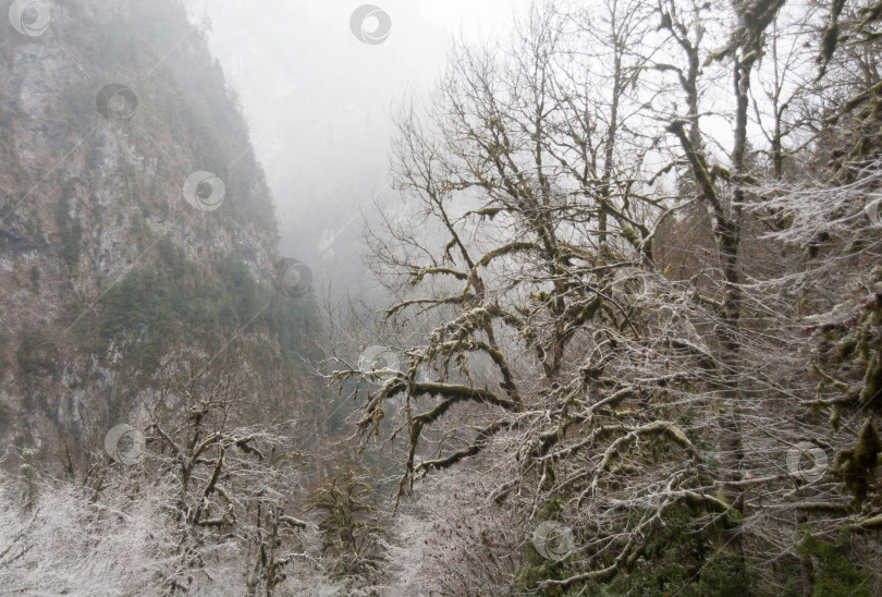 Скачать зимний пейзаж фотосток Ozero