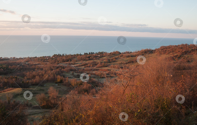 Скачать осенний урожай фотосток Ozero