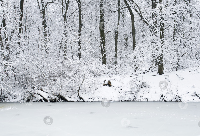 Скачать зимний пейзаж фотосток Ozero