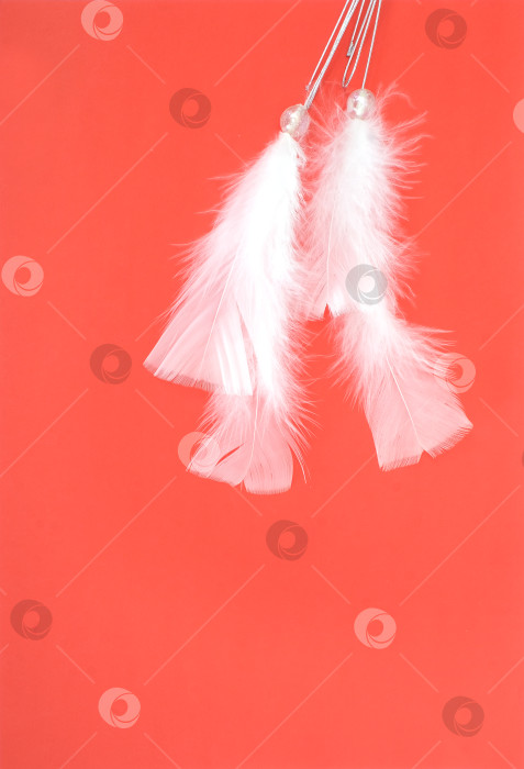 Скачать Традиционный рождественский красный фон с белыми перьями для поздравительной надписи или объявления фотосток Ozero